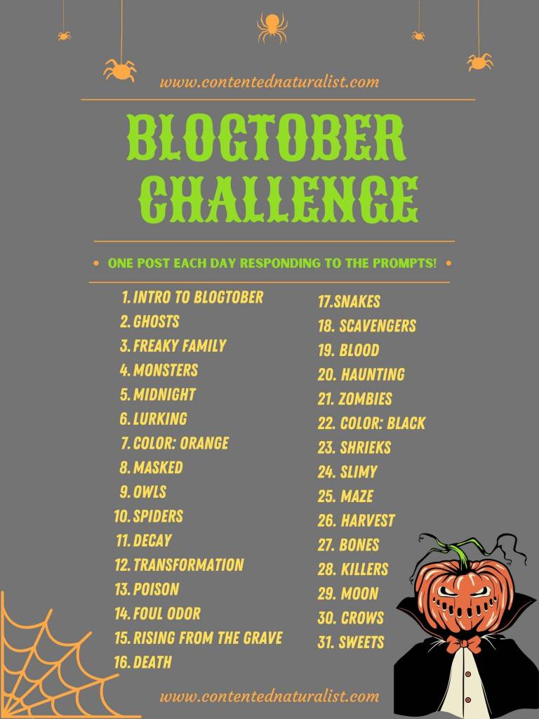 List of prompts for Blogtober challenge. One prompt per day in October: 1. Intro to Blogtober; 2. Ghosts; 3. Freaky Family; 4. Monsters; 5. Midnight; 6. Lurking; 7. Color: orange; 8. Masked; 9. Owls; 10. Spiders; 11. Decay; 12. Transformation; 13. Poison; 14. Foul Odor; 15. Rising from the grave; 16. Death; 17. Snakes; 18. Scavengers; 19. Blood; 20. Haunting; 21. Zombies; 22. Color: black; 23. Shrieks; 24. Slimy; 25. Maze; 26. Harvest; 27. Bones; 28. Killers; 29. Moon; 30. Crows; 31. Sweets