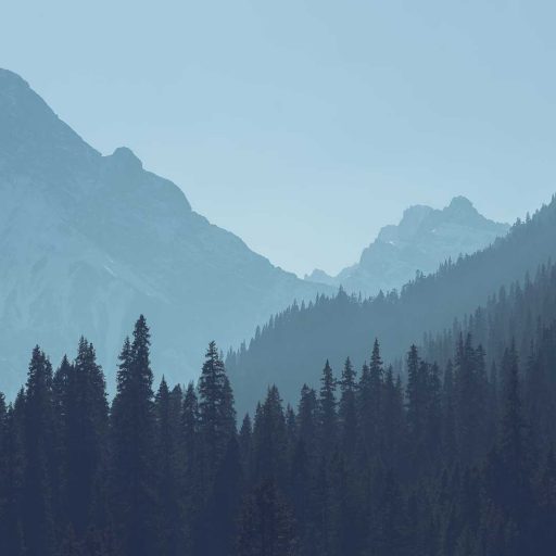 Relaunching The Contented&nbsp;Naturalist