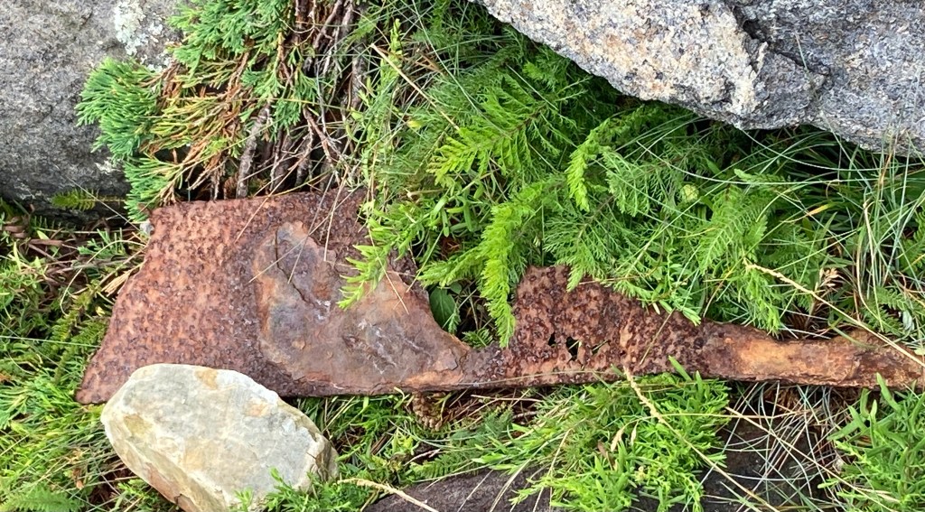 It’s that time again– restarting the blog&nbsp;(2024)