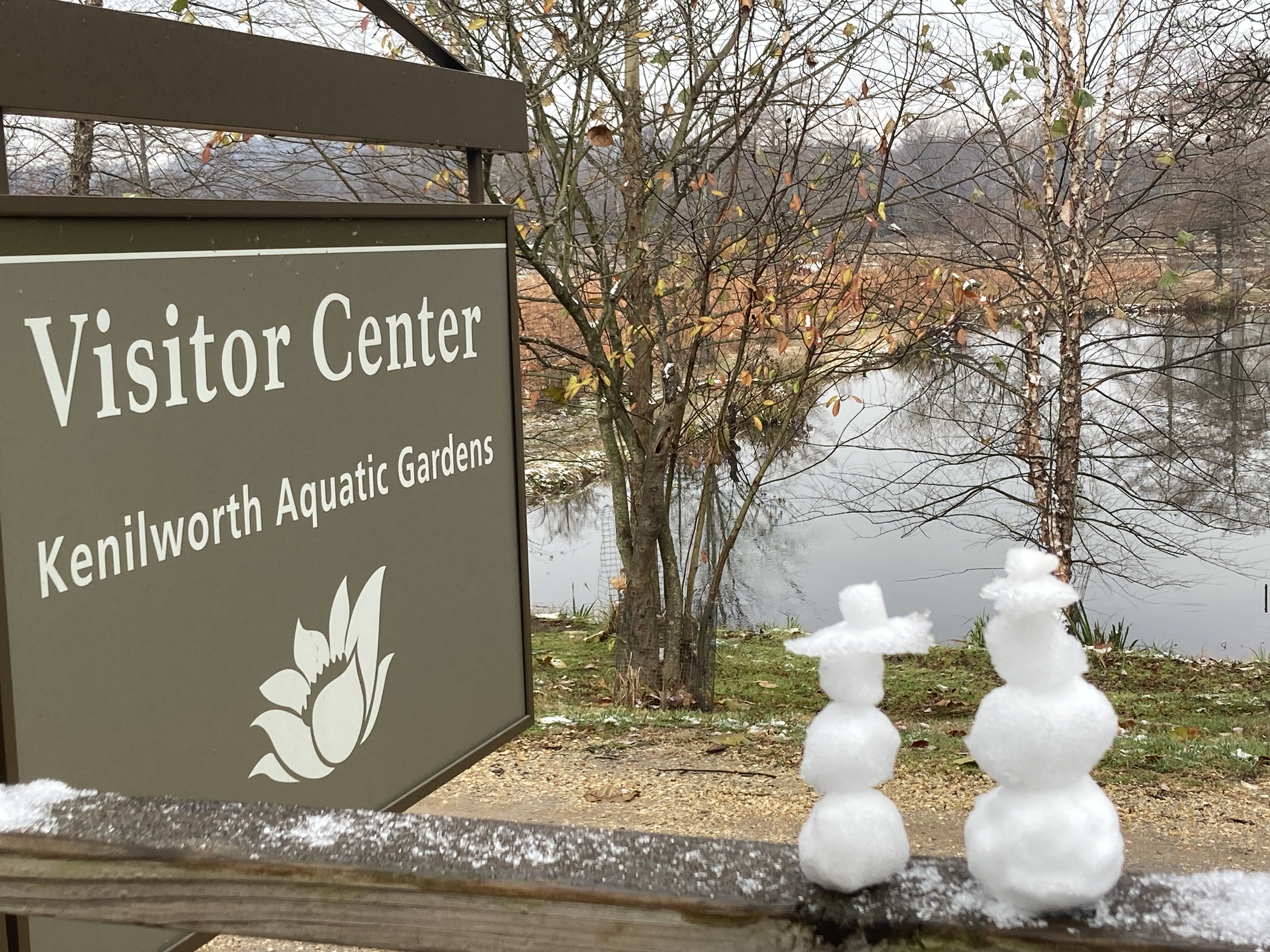 Miniature snowmen with ranger hats sit on a wooden fencerail. The sign for Kenilworth Aquatic Gardens' visitor center is to their left, and beyond them is a pond and bare-branched shrubs.